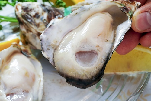 殻付き牡蠣 生食用の商品画像