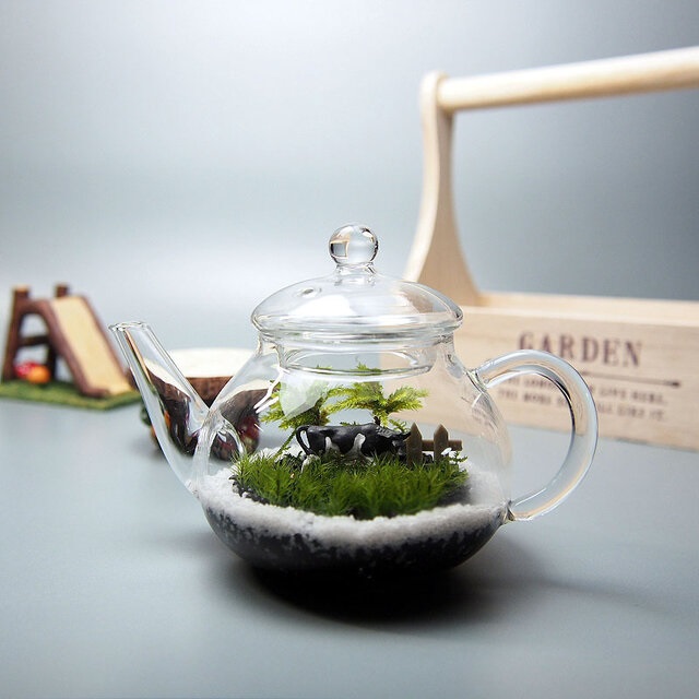 苔テラリウムの商品画像