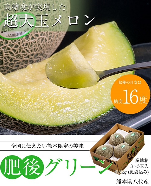 熊本県産メロン 肥後グリーンの商品画像