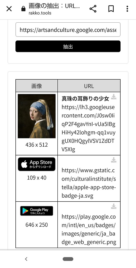 Google Arts & Cultureの画像をスマホやタブレットで保存する方法5