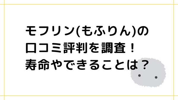 モフリン(もふりん)の口コミ評判を調査！寿命やできることは？